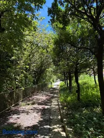 赤瓦のお宿みあげむい - Image 4