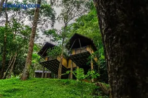 Song Of The Trees Jungle Experience Stay Kutitkanam by LexStays - Image 2