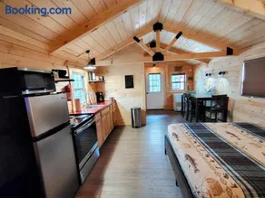 Montauk Pines - Image 1