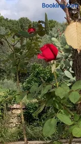 LA CASA FRA gli ULIVI UMBRA - Image 3