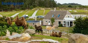 Ree Park - Image 1