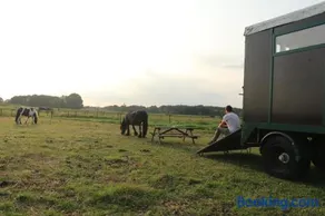 Slapen tussen de paarden - Image 2