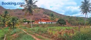 A few kilometers from banana plantations - Image 2