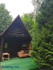 Zofiówka las ul Sporna 5a - Image 1
