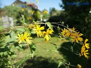 FeWo Happy Place in traumhafter Lage See nah - Image 5