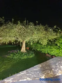 Casa Rosa - Image 3