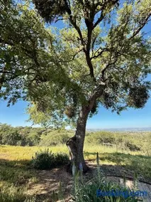 Vista De Robles - Image 2