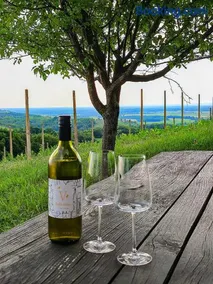 Udobna hiša med vinogradi blizu Vinarium LEND - Comfortable Vineyard House near Vinarium Tower LEND - Image 1