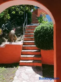 Villa Mariella - Large garden and BBQ in Stintino - Image 3