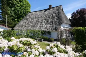 Landhaus zur alten Kastanie - Image 1
