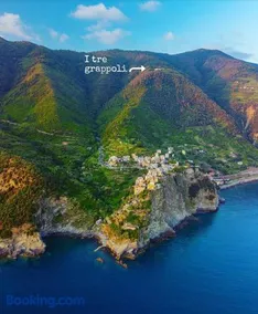 I TRE GRAPPOLI - Image 1