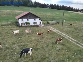 la ferme de la gaby - Image 2
