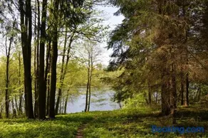 Dubingiai summerhouse - Image 1