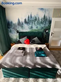 Twoje prywatne SPA - jacuzzi, sauna, tężnia solankowa - Image 2
