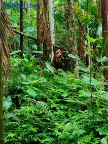 Guthigar Adventure Estate & Traditional Homestay - Image 2
