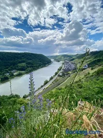 Ferienwohnung auf der Moselhöhe - Nähe Koblenz und Cochem - Image 1