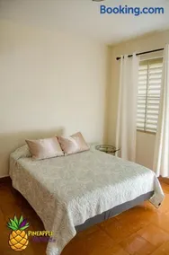 pineapple hospitality - Image 4