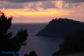 Presqu`ile de Giens - Image 5