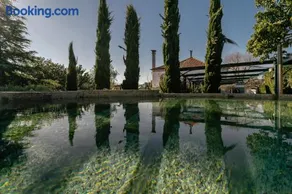 Quinta da Belamira - Guimarães - Image 1