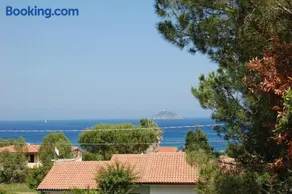 Marinho - Image 1