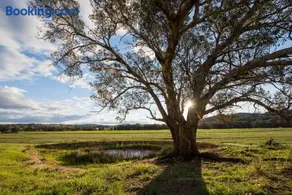Beaudesert Cottage - Mudgee - Image 3