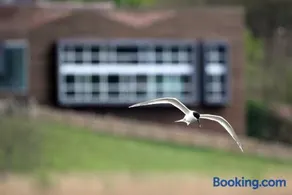Urdaibai Bird Center - Image 5