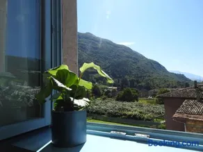 B&B Stella d'Oro - Image 4