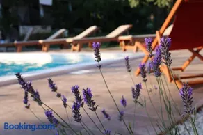 Mobile Homes Dvor - Image 2