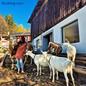 Gutschi Ranch - Image 2