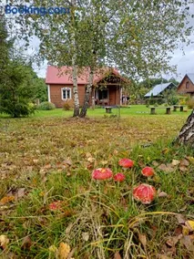 Jałówka - odpocznij na Podlasiu - Image 4
