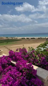 Vue mer & montagne, plage à pied & tranquillité assurées - Image 2
