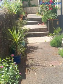 Bossell Cottage Devon - Image 4