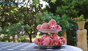 Aricelle Speziali - Image 3