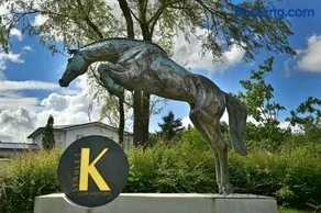 K-Stables - Image 1