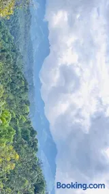 Misty Hill Land - Image 3