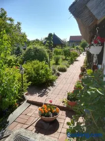Nádasház - Image 5