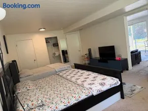 Music suite of single house first floor - Image 3