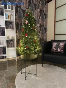 La casa di Erika - Image 2