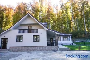Dey Villa, Valea Avrigului, Transilvania - Image 3