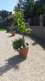 Apartman Nicolle - Image 3