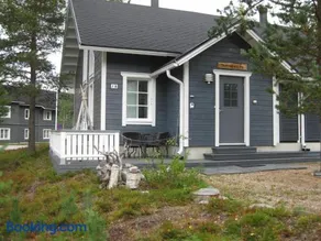 Tunturikoivu - Image 1