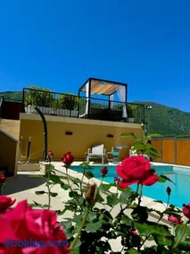 Apartments Jovanovic - Alkima - Image 1