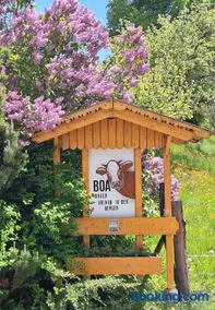 Boabauer - Image 5