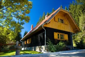 Pohorje House Rogla 1 a Private Riverside Estate - Image 1