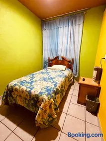 Casa Dos Arbolitos - Image 1