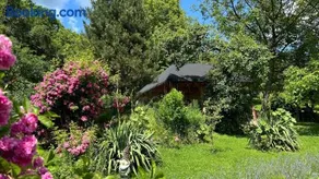 Casa de la țară Albinuța Călătoare - Image 3