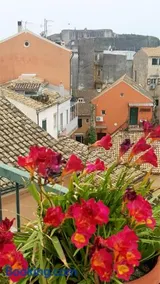 Roof Garden House - Image 2