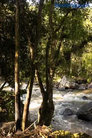Recanto do Rio Chalé na Natureza - Image 5