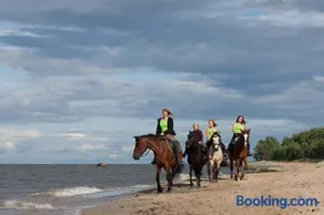 Arma Riding Farm And Holiday Home - Image 1