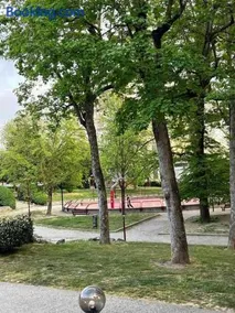 La Serra Olivetti - Image 4